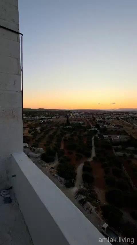 صورة 11