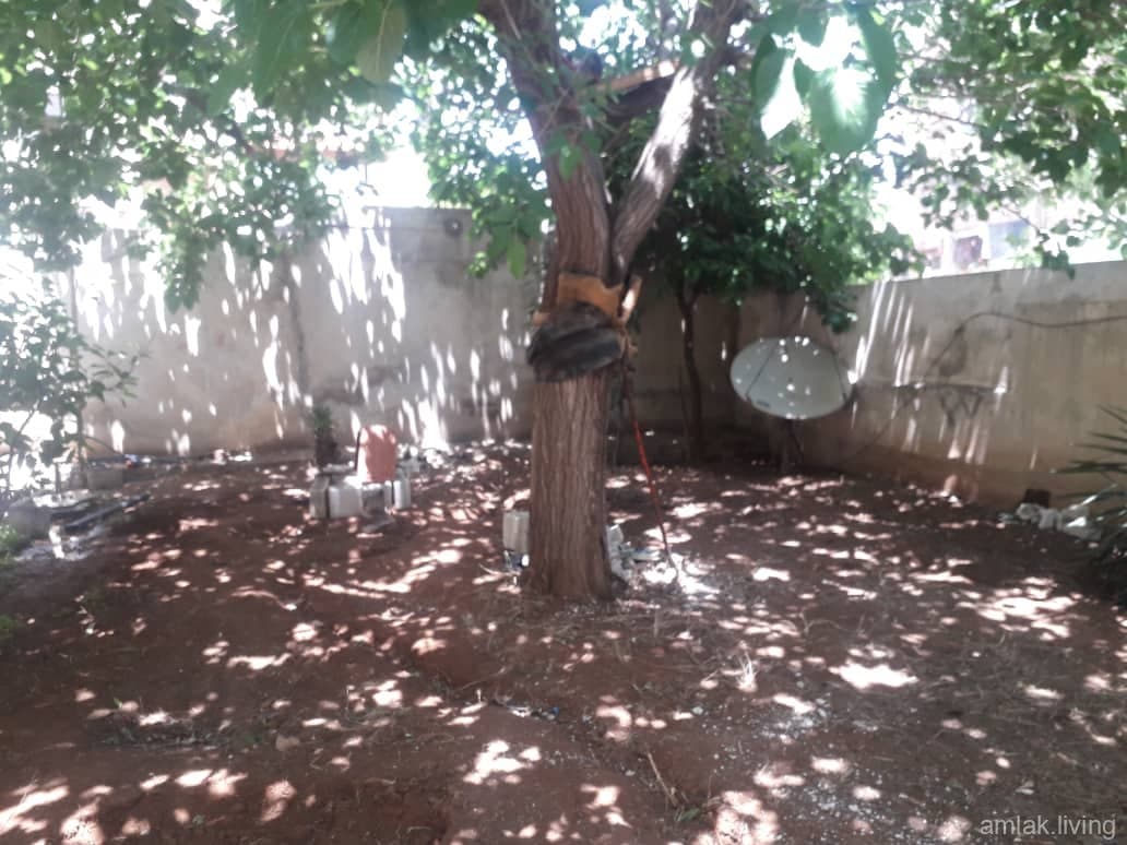 صورة 17
