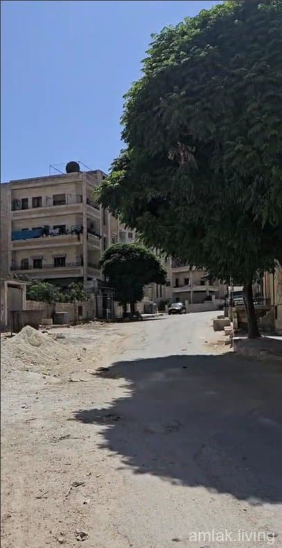 صورة 2