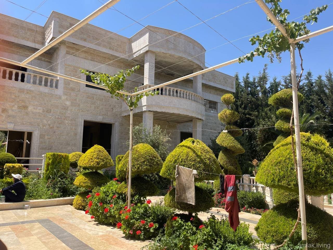 صورة 1