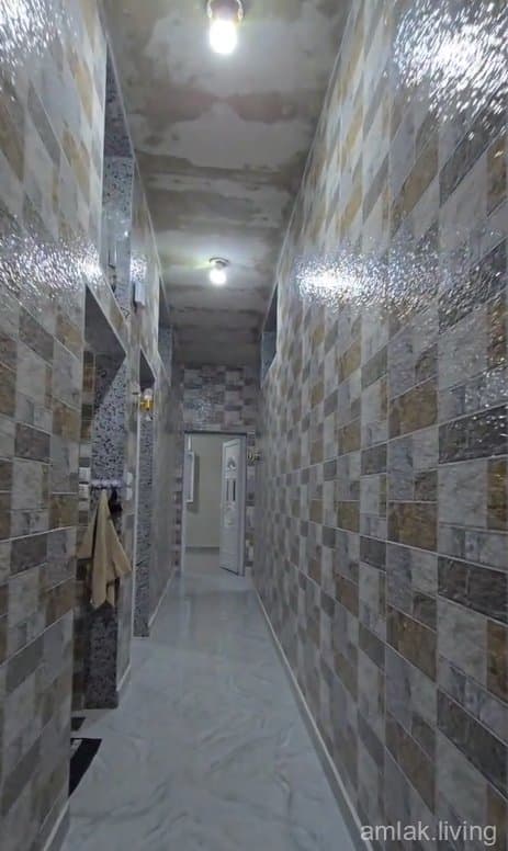 صورة 2