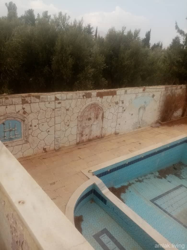 صورة 1
