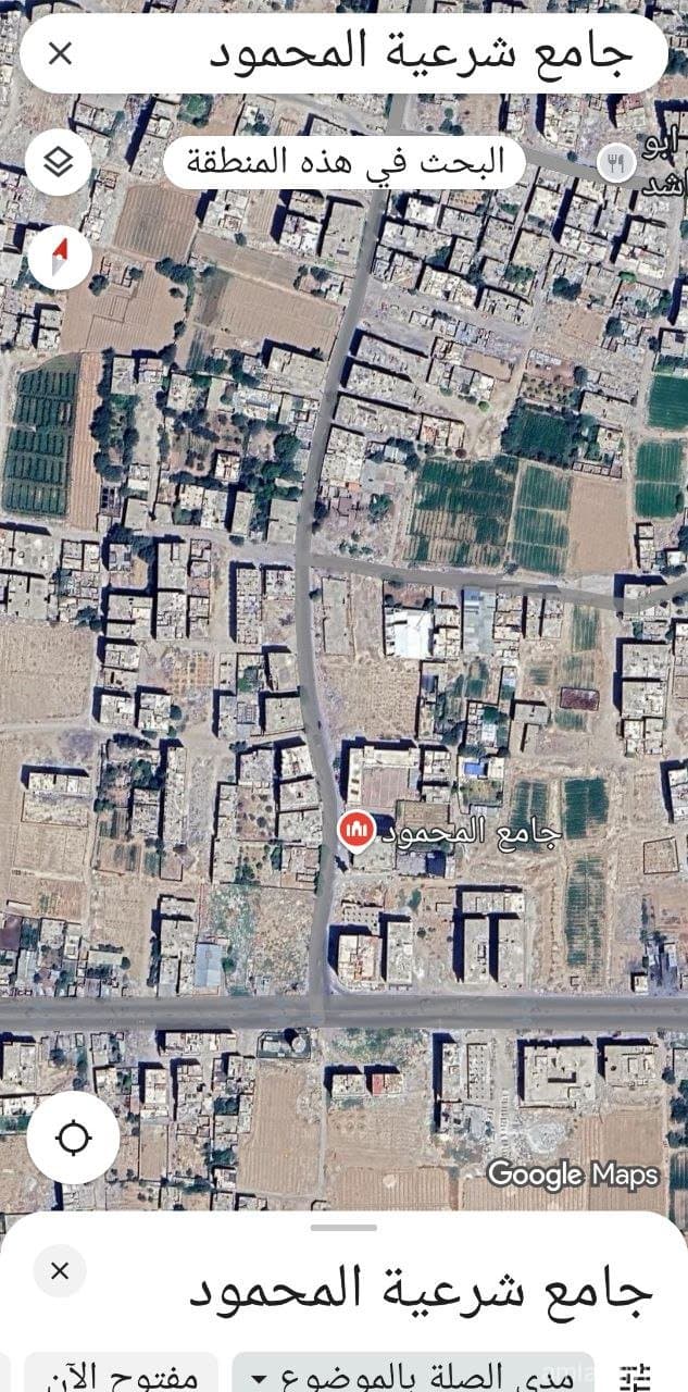 صورة 2