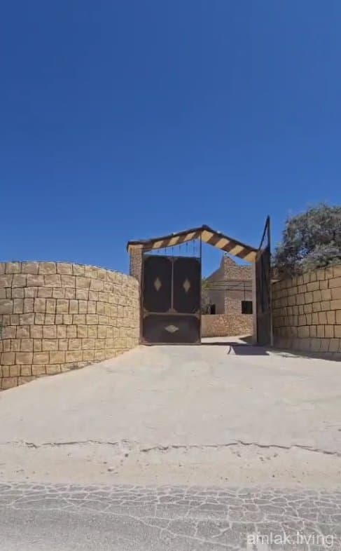 صورة 2