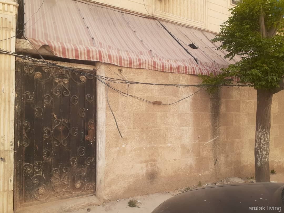 صورة 12
