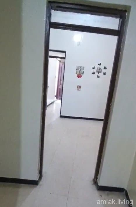 صورة 5