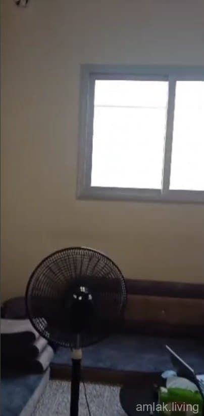 صورة 3