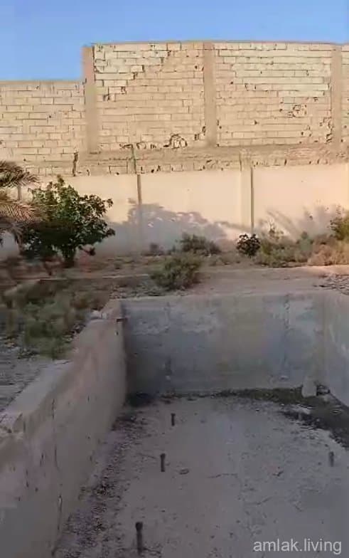 صورة 3