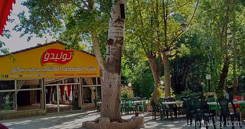 صورة 16