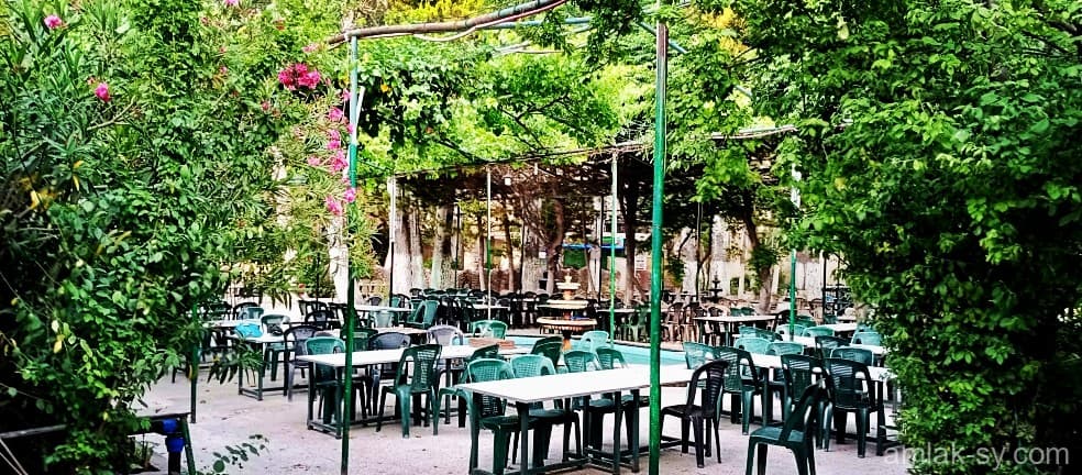 صورة 2