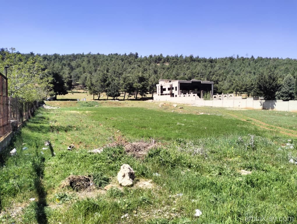 صورة 1