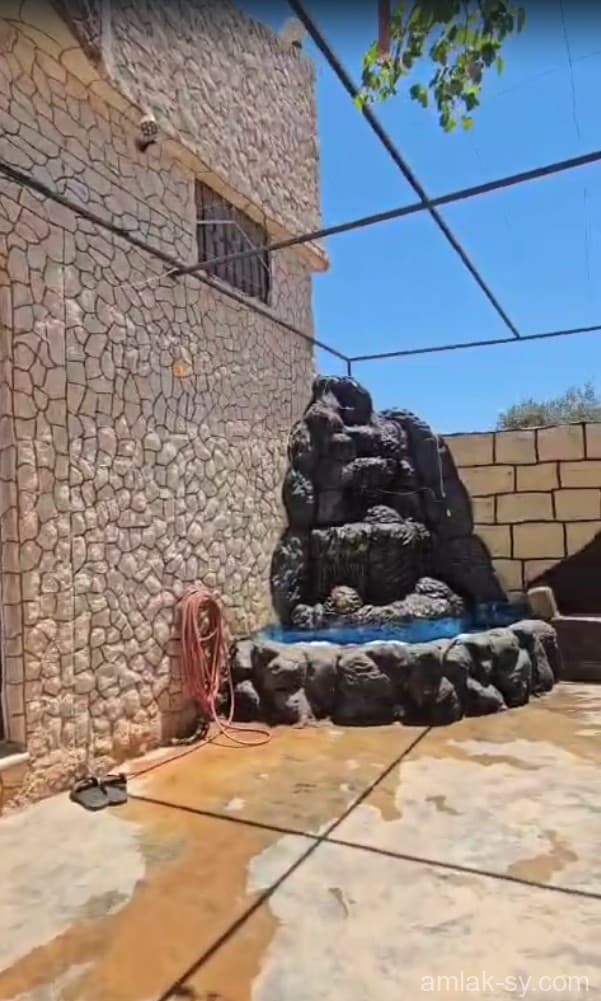 صورة 4