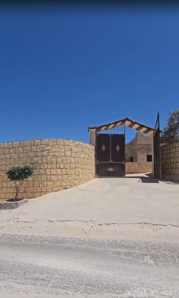 صورة 2