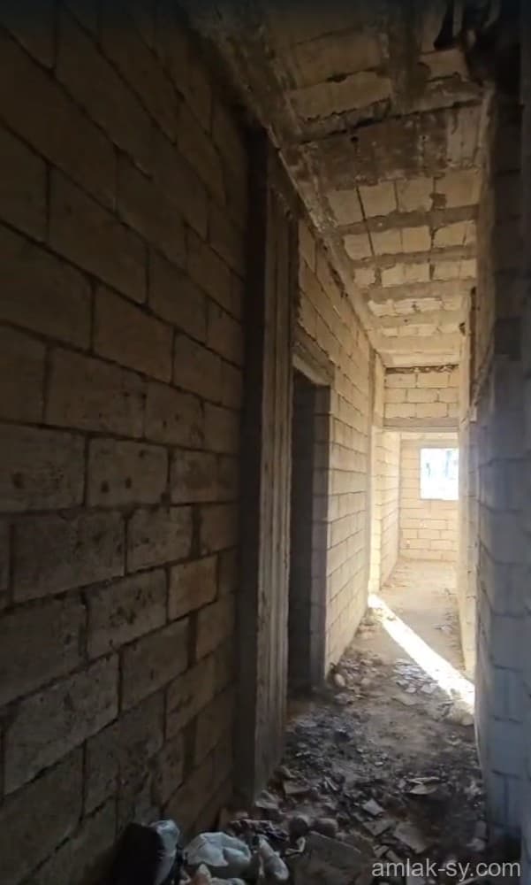 صورة 3