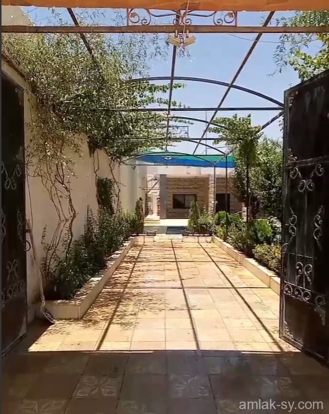 صورة 5