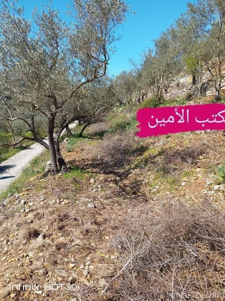 صورة 1
