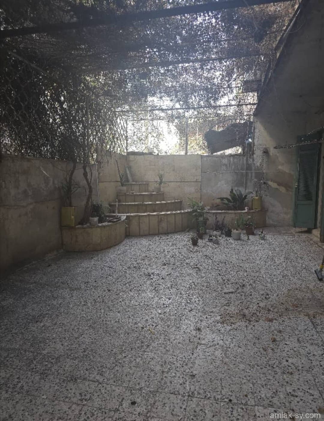 صورة 4
