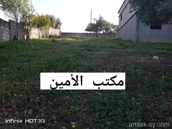 صورة 2