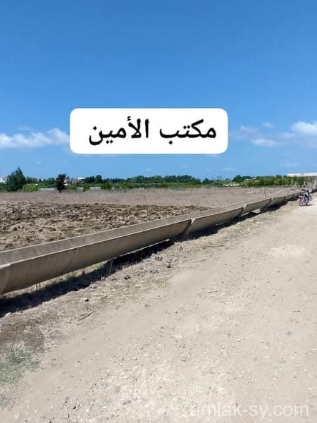 صورة 2