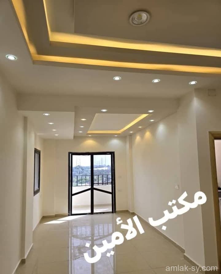 صورة 3