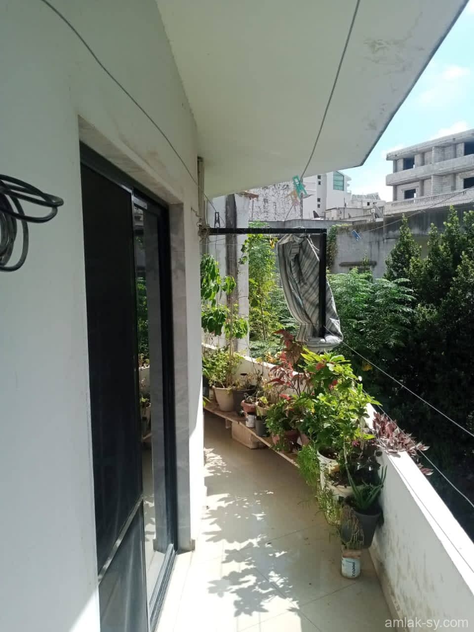 صورة 11