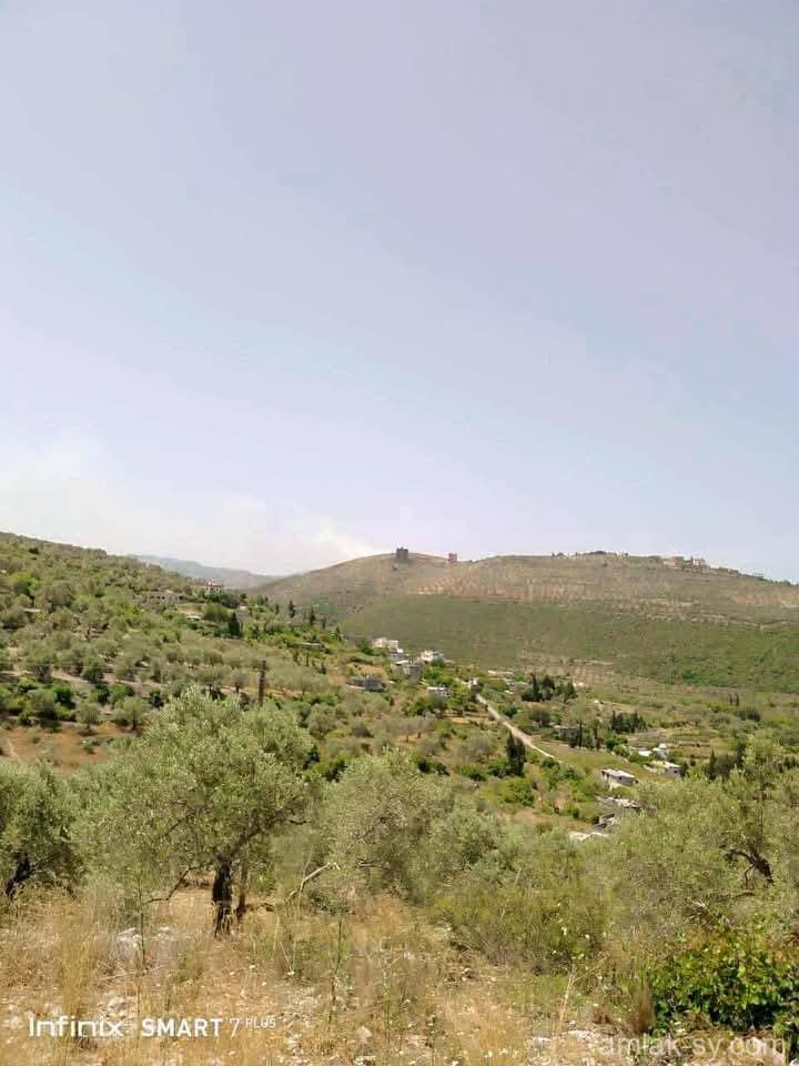 صورة 9