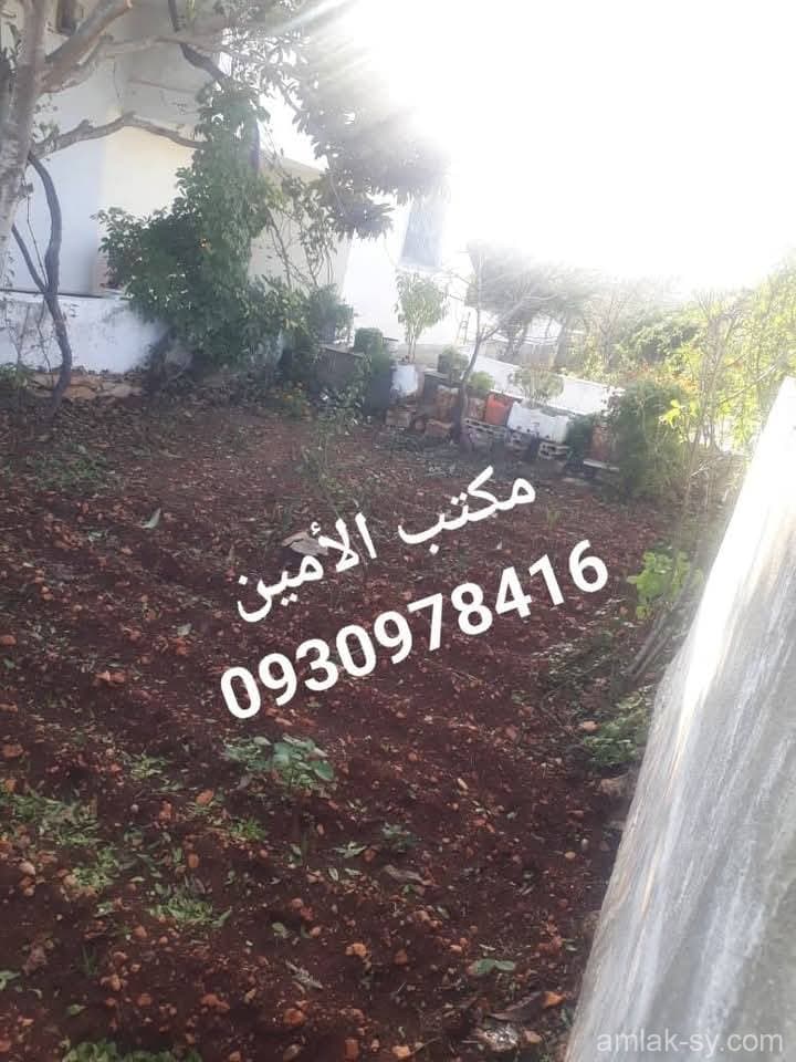 صورة 6