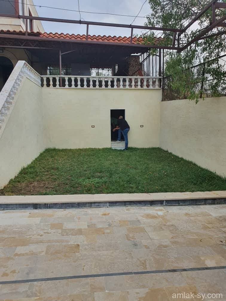 صورة 13