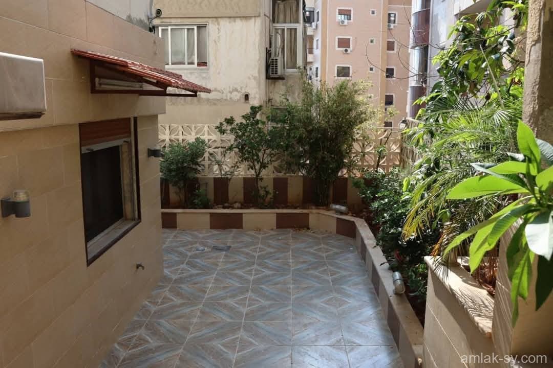 صورة 2