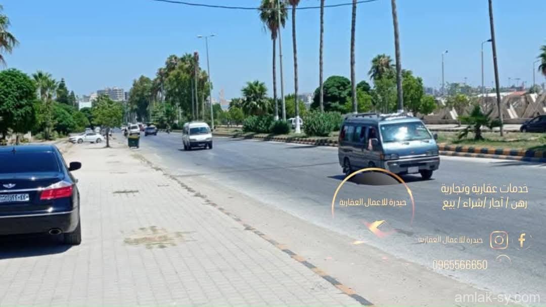 صورة 3