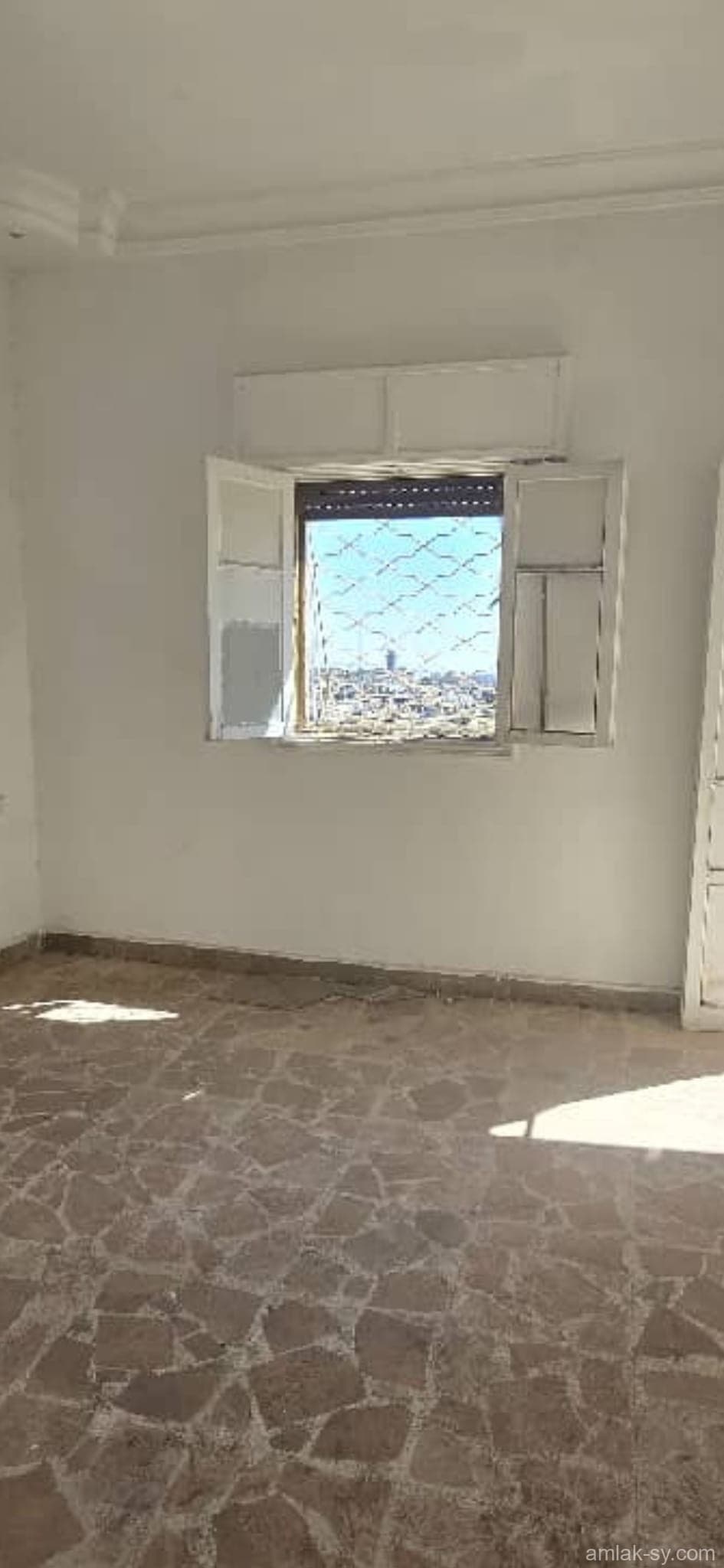 صورة 5