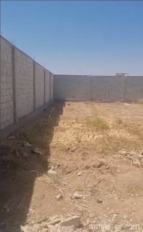 صورة 2