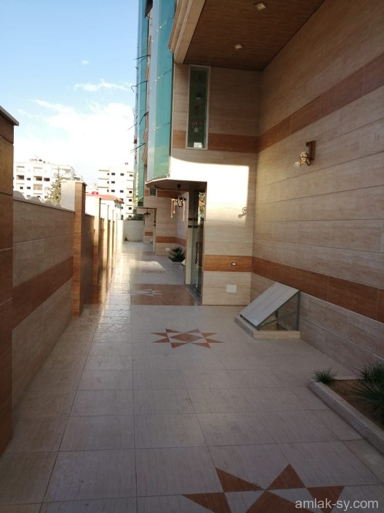 صورة 7