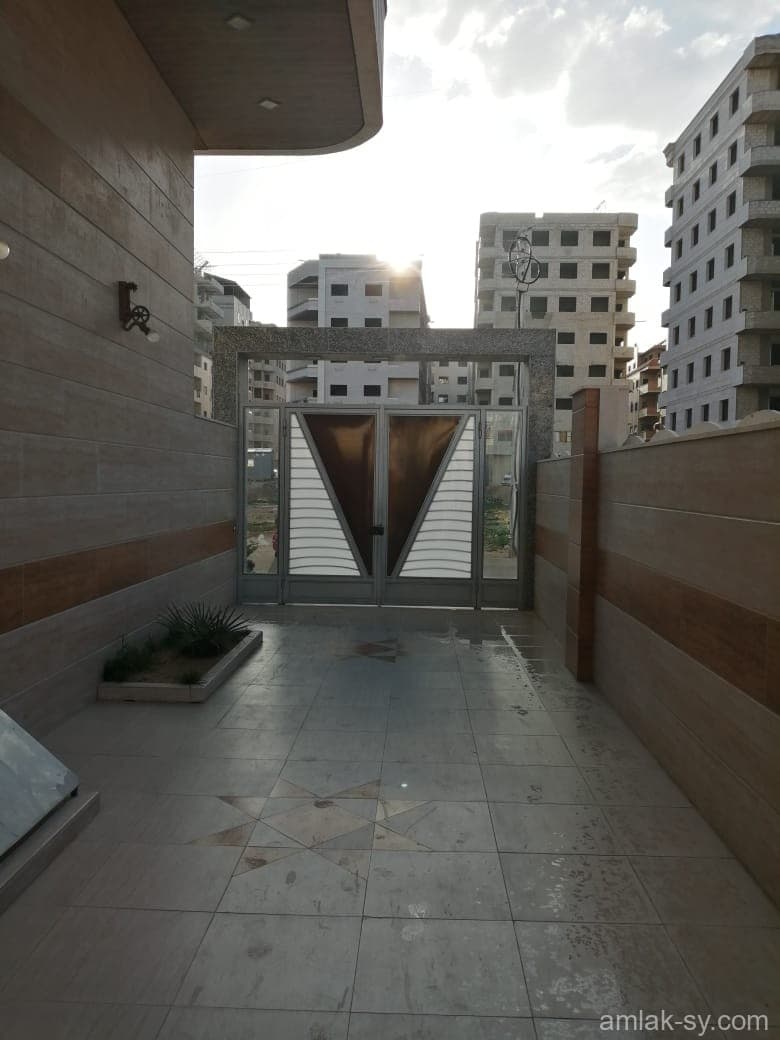 صورة 11