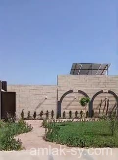 صورة 3