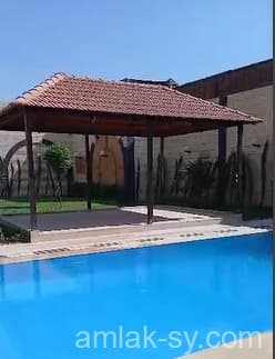 صورة 1