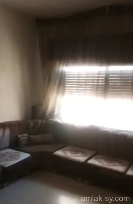 صورة 3
