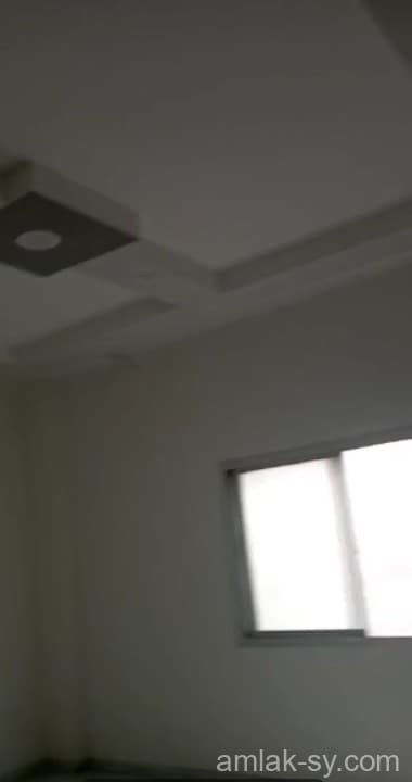 صورة 3
