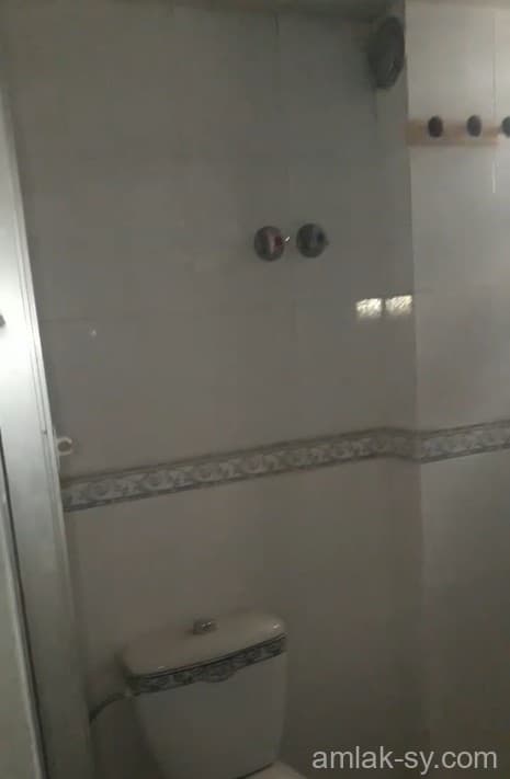 صورة 4