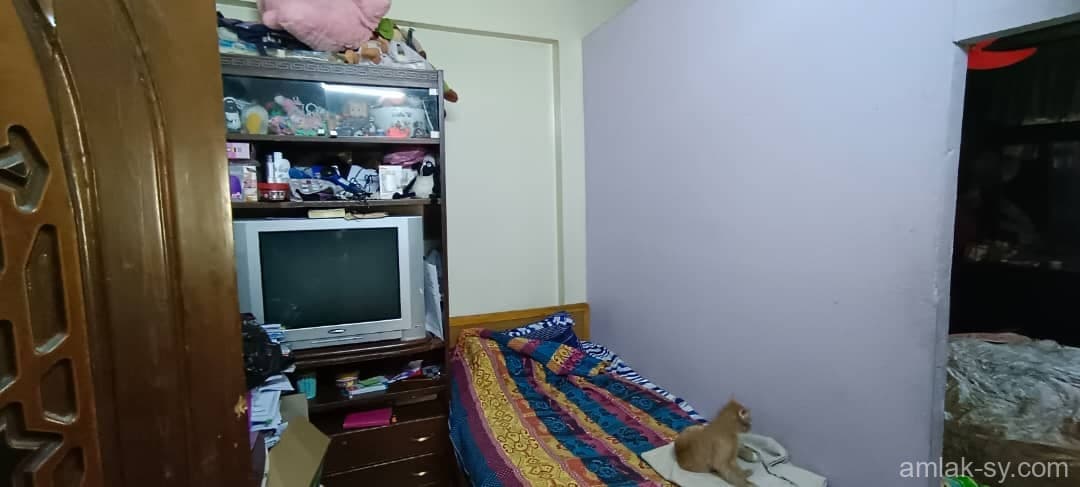 صورة 6