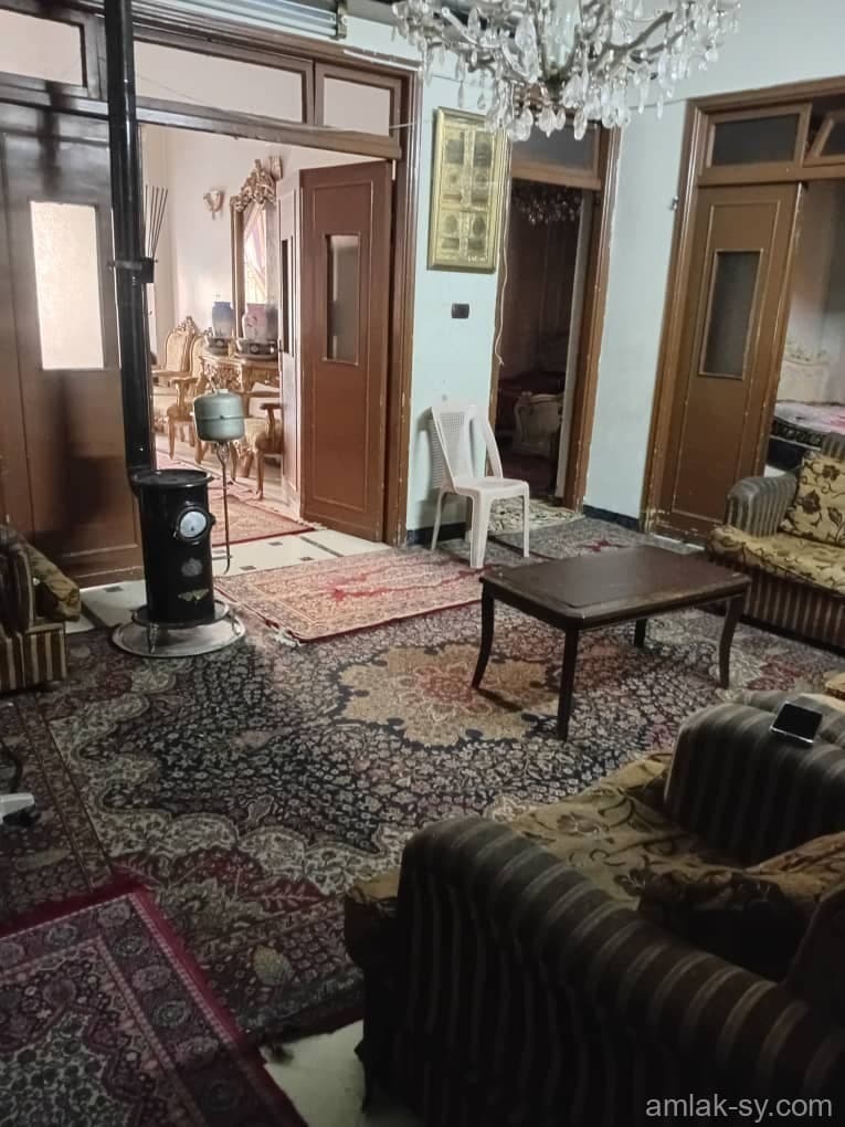 صورة 15