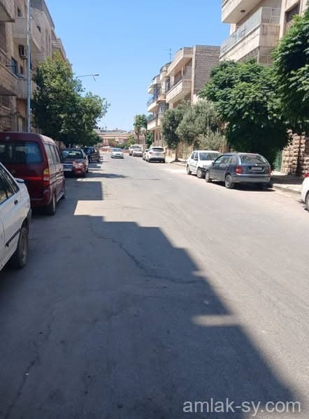 صورة 3