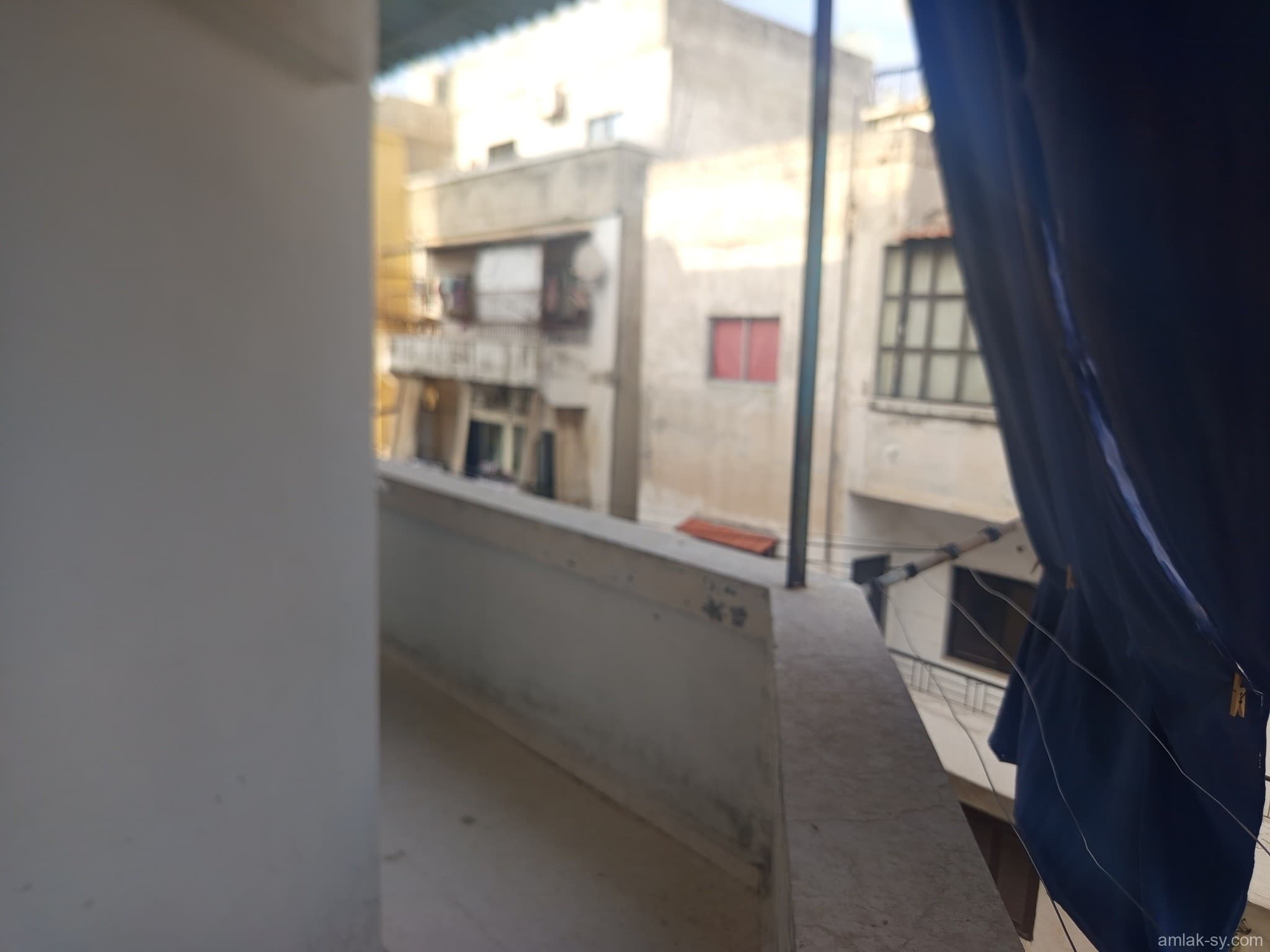 صورة 14