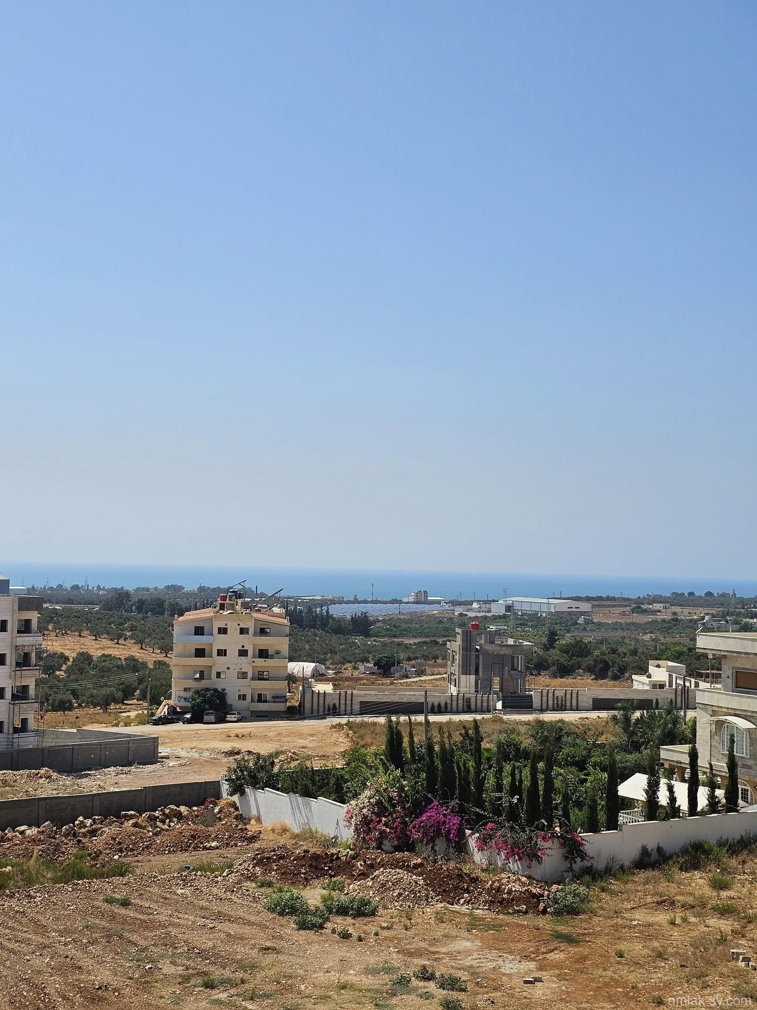 صورة 11