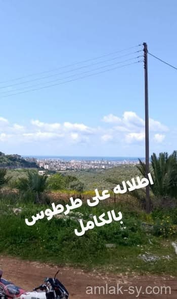 صورة 3