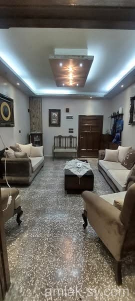 صورة 2