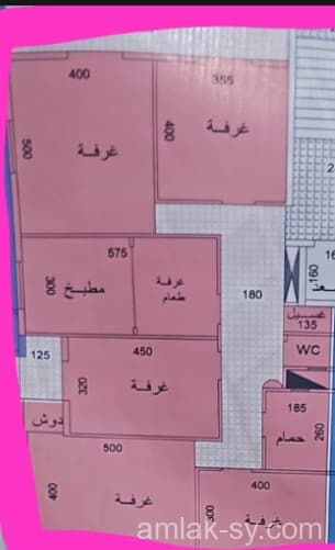 صورة 1