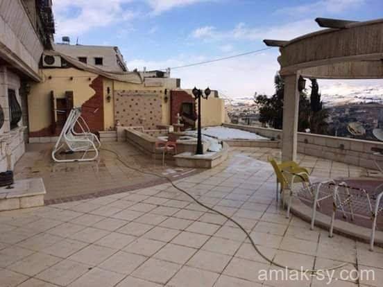 صورة 3