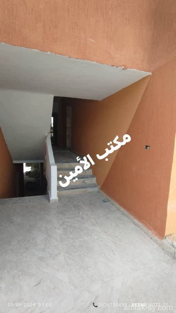 صورة 11