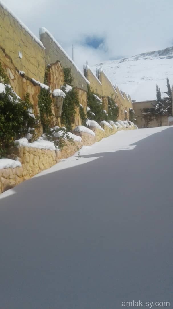 صورة 28